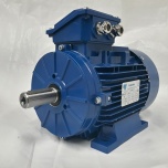 Elektrimootor 0,75kW/700 p/min T1A 100L1-8 B3; IE1; IP55; 230/400V 
