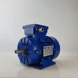 Elektrimootor 0,55kW/1500 p/min T1A 801-4 B3; IE1; IP55; 230/400V