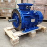 Elektrimootor 15,0kW/1000 p/min T3C 160L2-6 B35; IE3; IP55; 400/690V; PTC termistorid 130℃