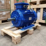 Elektrimootor 15,0kW/1000 p/min T3C 160L2-6 B3; IE3; IP55; 400/690V; PTC termistorid 130℃